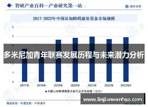 多米尼加青年联赛发展历程与未来潜力分析