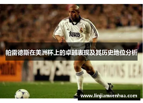 帕雷德斯在美洲杯上的卓越表现及其历史地位分析