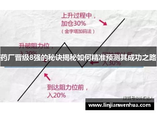 药厂晋级8强的秘诀揭秘如何精准预测其成功之路
