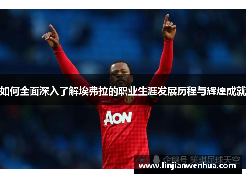 如何全面深入了解埃弗拉的职业生涯发展历程与辉煌成就