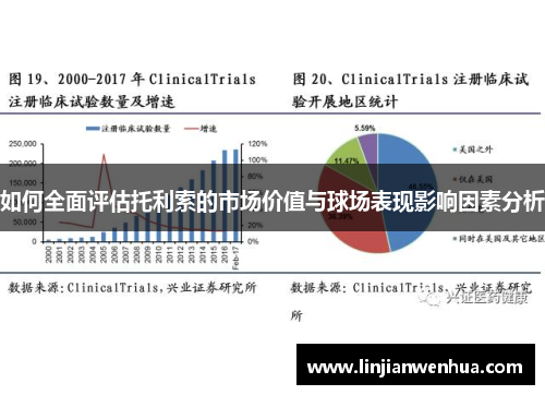 如何全面评估托利索的市场价值与球场表现影响因素分析